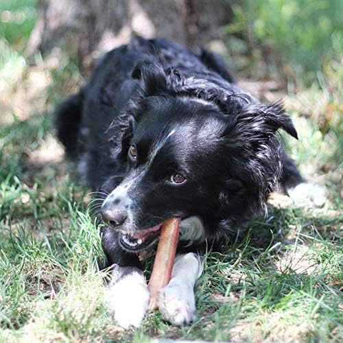 Brazilian Grass - Fed Beef Bully Sticks - One for All