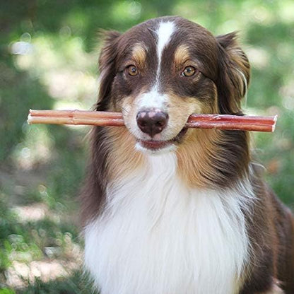 Brazilian Grass - Fed Beef Bully Sticks - One for All
